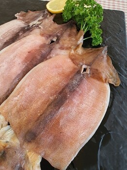 속초 반건조오징어 (피데기) 10마리